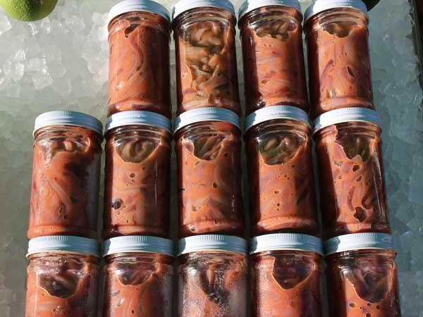 ごはんのおかずやお酒のつまみとして人気のイカの塩辛 イカの塩辛の瓶詰め