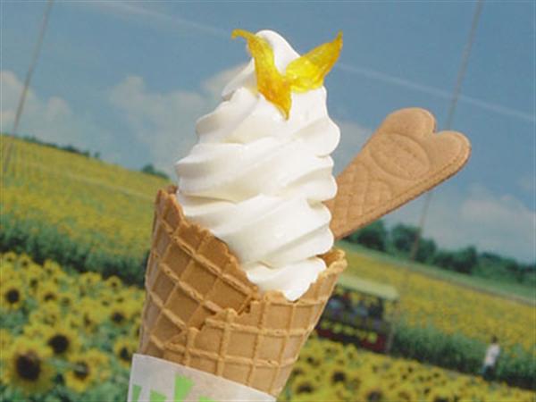 素揚げしたひまわりの黄色が愛らしい ひまわりソフトクリーム(北竜町)