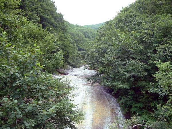 人の手が入らず自然豊かなカムイワッカ湯の滝 カムイワッカ湯の滝の写真