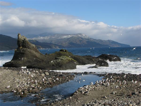 そびえ立つ天狗岩 (写真提供:羅臼町役場) そびえ立つ天狗岩