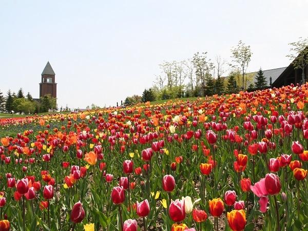 滝野すずらん丘陵公園 滝野すずらん丘陵公園