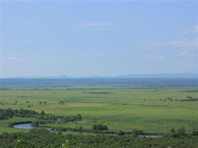 貴重な動植物が多数生息している釧路湿原