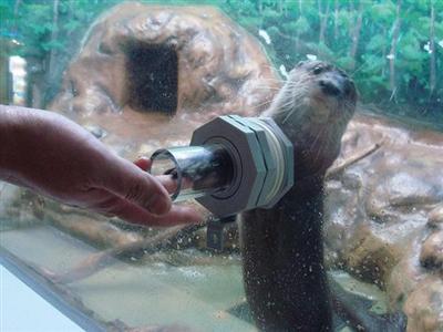 サンピアザ
