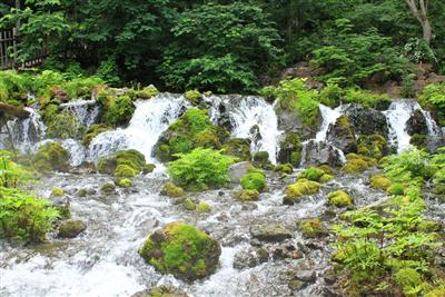 ふきだし公園　湧水口