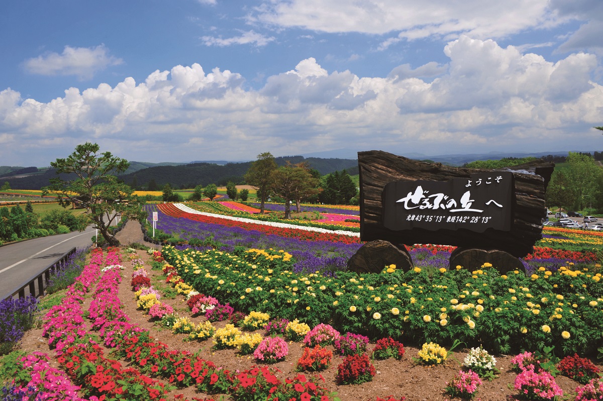 青い空と、色とりどりの花が織り成すコントラスト ぜるぶの丘