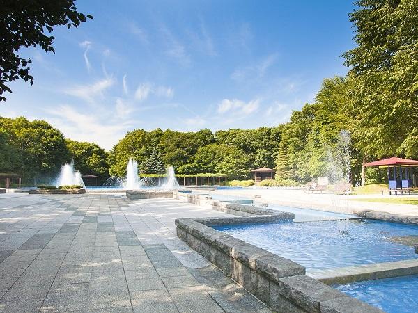 体操やジョギング、散歩やデート。ここには様々な物語がある 青葉公園