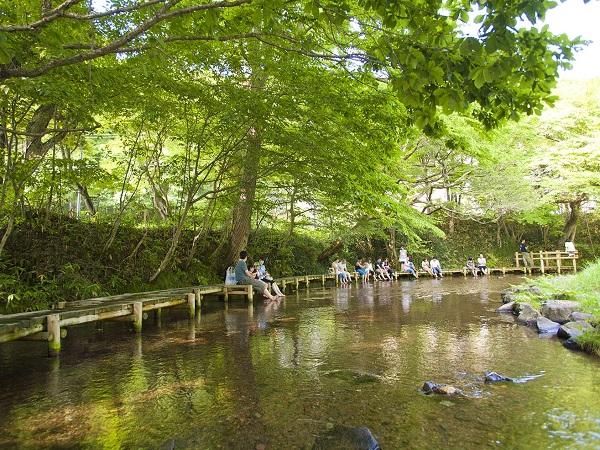 夏の暑い日にはこんな光景も…まさに市民の憩いの場 散策路の最後