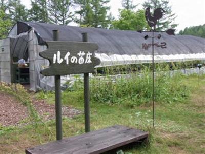 ルイと岳の苗床