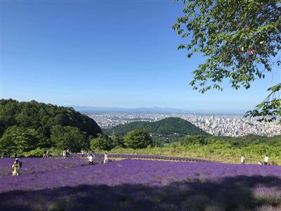 夜景が広がる幌見峠
