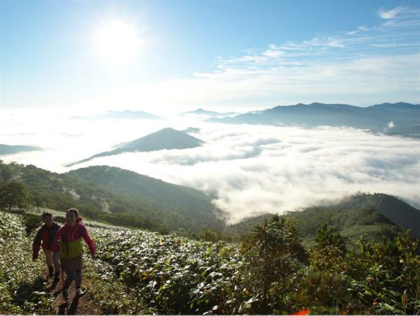トマムの山頂に登り、ヨガを楽しもう トレッキング&ヨガ