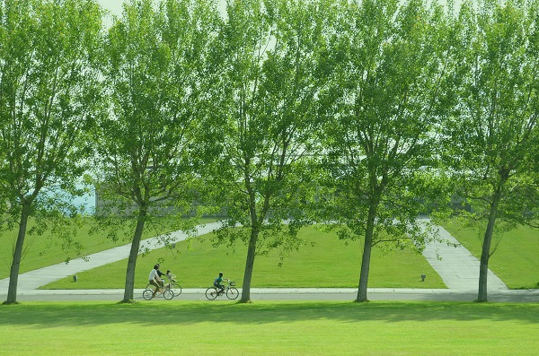 広い園内をフットワークよく周り、サイクリングを楽しんで
(写真提供:モエレ沼公園) モエレをレンタサイクルで回る