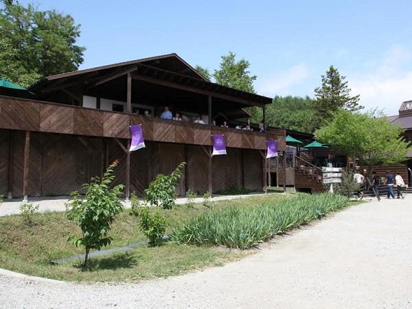 ショップにはオリジナル商品が並ぶ。歩き疲れたらテラス席で一息(写真提供:ファーム富田) ポプリの舎