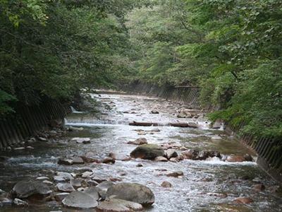 訪れる人々を魅了する千歳川