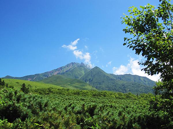 利尻山の深い森を間近に感じる事ができる 見返台園地から見る利尻山