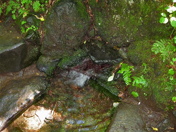 次々と湧き出す甘露泉水 甘露泉水