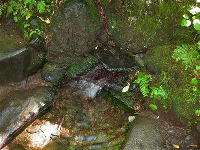 甘露泉水
