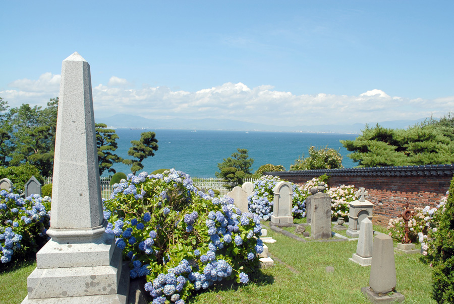 目の前には海が広がり美しい景観を楽しめる 目の前には海が広がり美しい景観を楽しめる