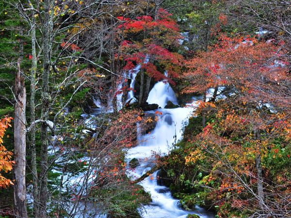 鮮やかな紅葉と阿寒川源流の姿を目にできる 鮮やかな紅葉と阿寒川の美しい景色が見られる滝見橋
