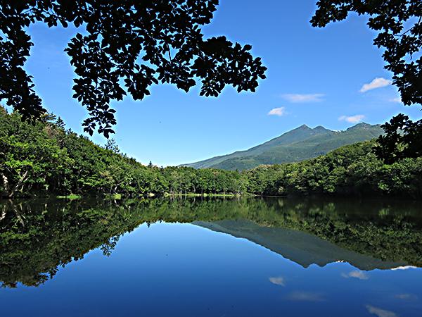 四湖から見る知床連山 知床五湖、四湖