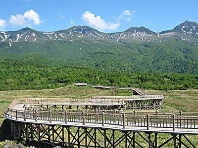 知床五湖、高架木道