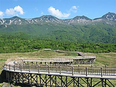 高架木道コース 知床五湖 たびらい