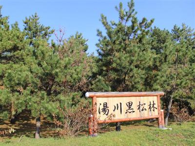 湯川黒松林