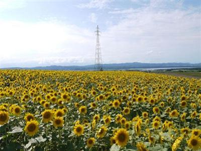 大空町朝日が丘公園