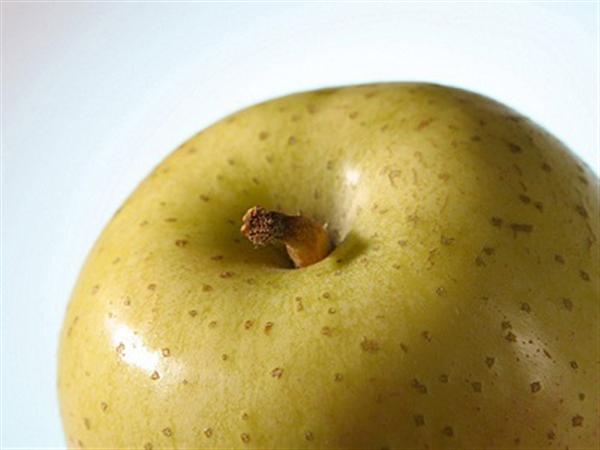 西洋りんご発祥の地で果物狩り 西洋りんご発祥の地で果物狩り