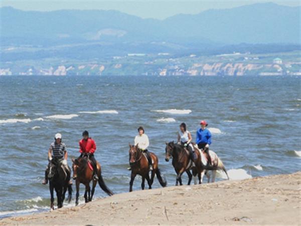 海岸沿いを駆け抜けよう! 海岸コース