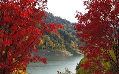 みかさ桂沢紅葉まつり
