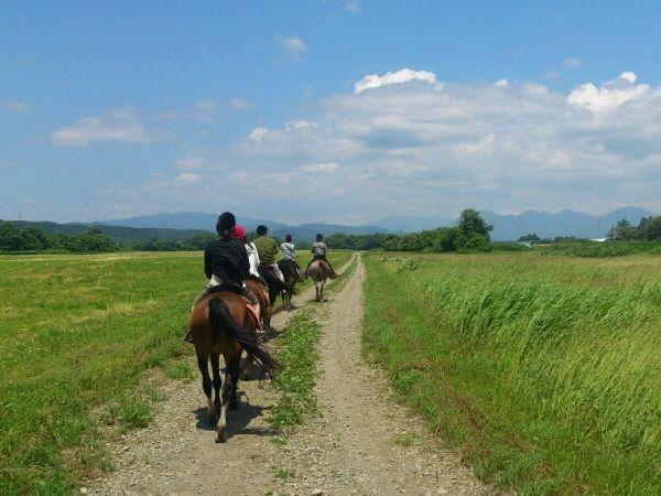 どこまでも広がる空と草原 どこまでも広がる空と草原