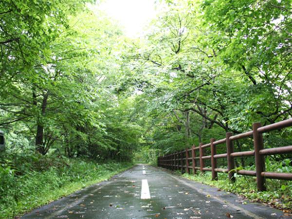 千歳川上流付近 千歳川上流付近