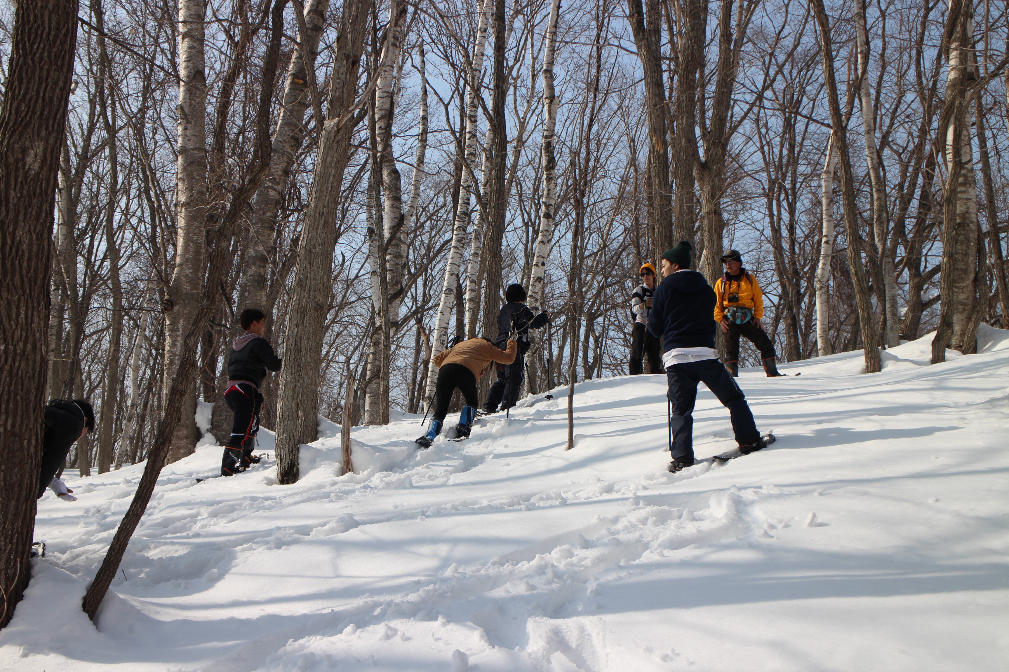 スノーシューを履いて雪の上を歩く スノーシュー