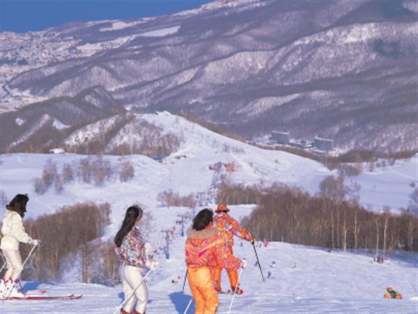 朝里川温泉スキー場 朝里川温泉スキー場