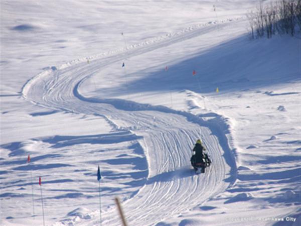 スノーモービル スノーモービル