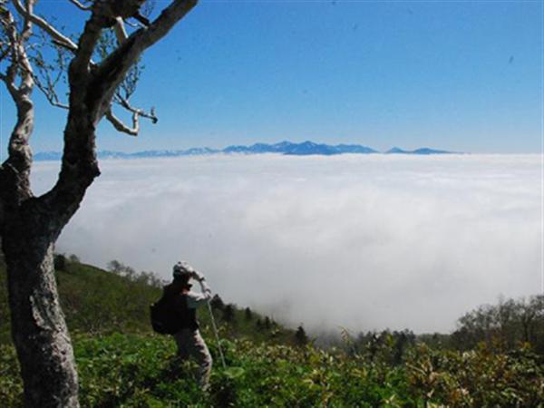 富良野西岳 富良野西岳