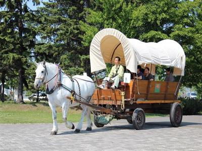 馬車