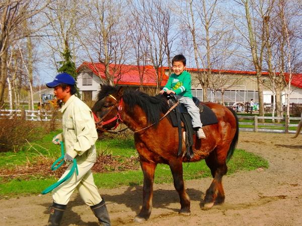サッポロさとらんどの引き馬 サッポロさとらんどの引き馬