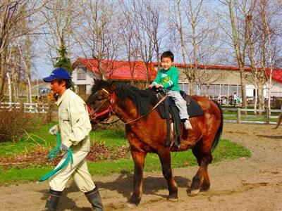 サッポロさとらんどの引き馬