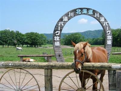 川湯パーク牧場