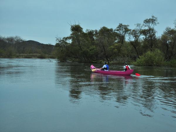 釧路川本流のカヌー体験 釧路川本流のカヌー体験