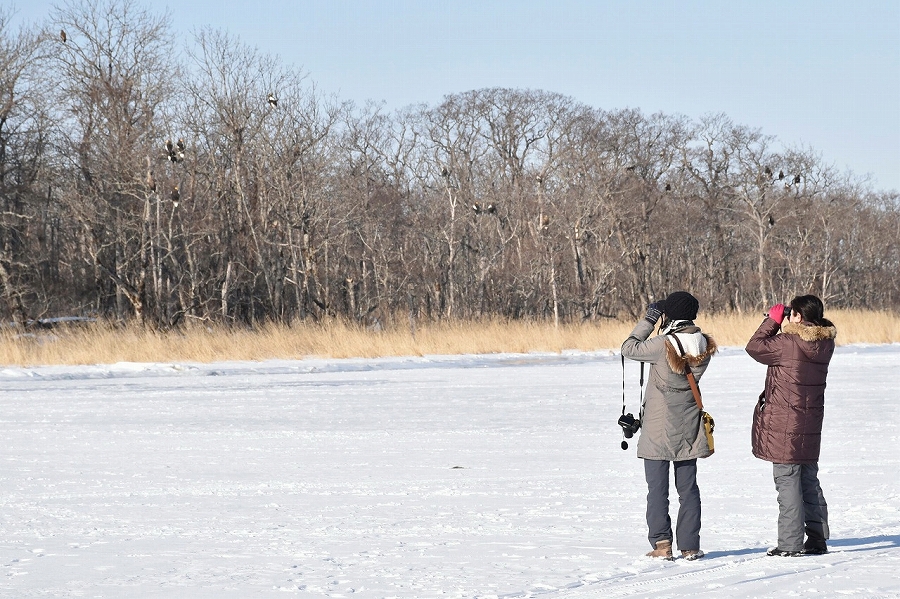 「おまかせガイドツアー」の様子 ねむろバードランドフェスティバル
