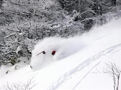 新雪を滑り降りる