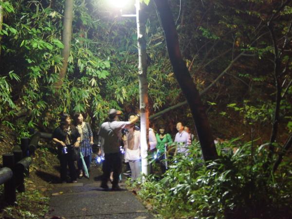 地元ガイドの説明で楽しむナイトアドベンチャー 地元ガイドの説明で楽しむナイトアドベンチャー