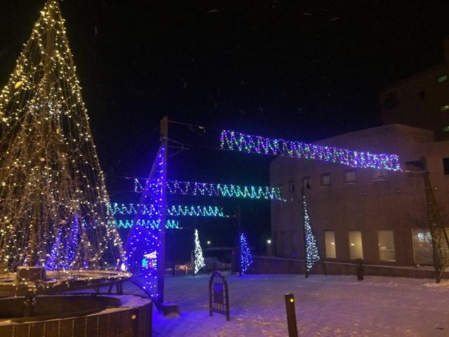 白い雪に映える「イルミネーションストリート」 イルミネーションストリート