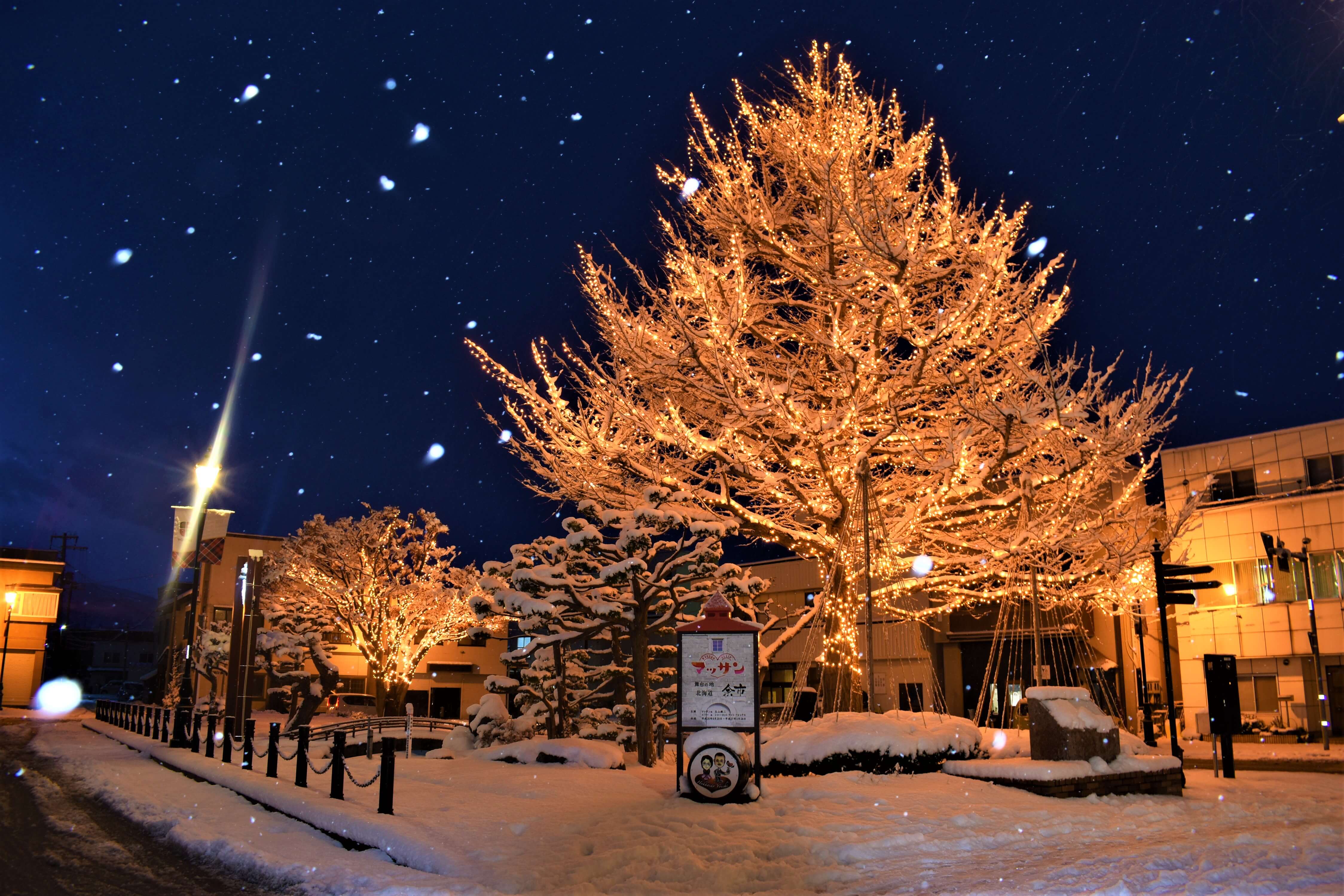 イルミネーション「琥珀色の夢」 余市ゆき物語