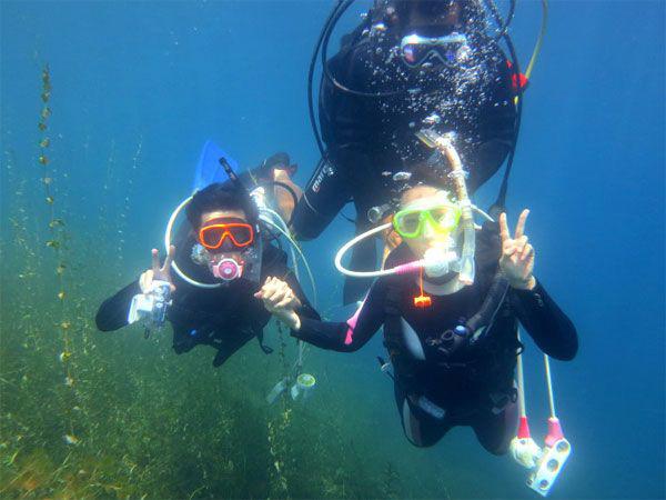 湖の中には幻想的な別世界が広がる 支笏湖で体験ダイビング
