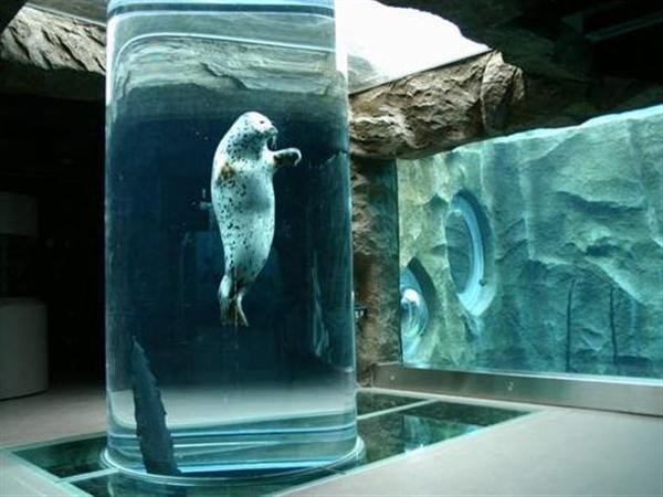 動物たちの様々な行動を見ることができる旭山動物園 旭山動物園