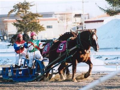 帯広で有名な「ばんえい競馬」
