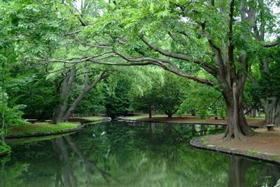 円山公園